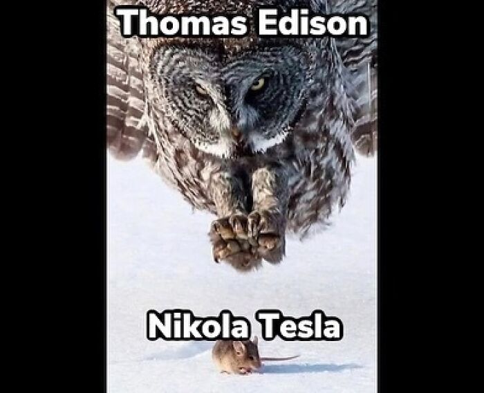 These History Memes Are So Funny They Should Be in Your School Books!