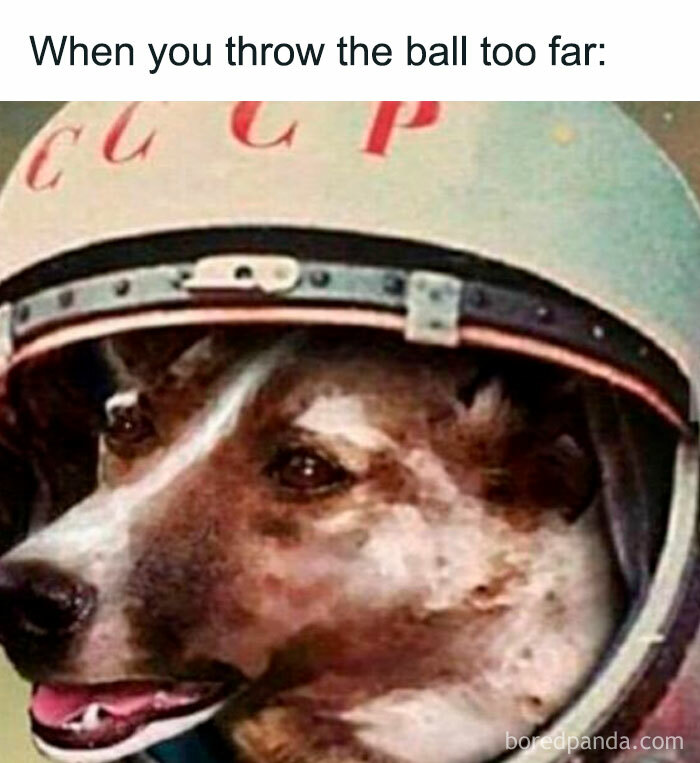 These History Memes Are So Funny They Should Be in Your School Books!