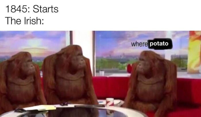 These History Memes Are So Funny They Should Be in Your School Books!