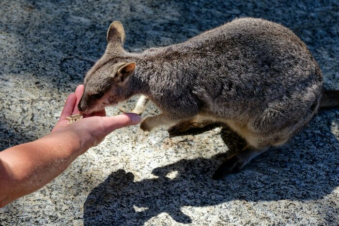 The 35 Most Eye-Rolling Tourist Moves That Drive Locals Nuts