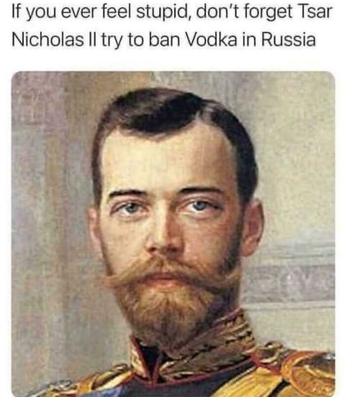 Wait, They Actually Made History Memes This Hilarious?!