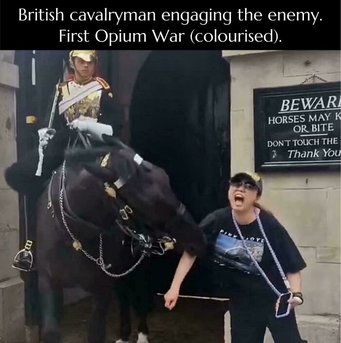 Wait, They Actually Made History Memes This Hilarious?!