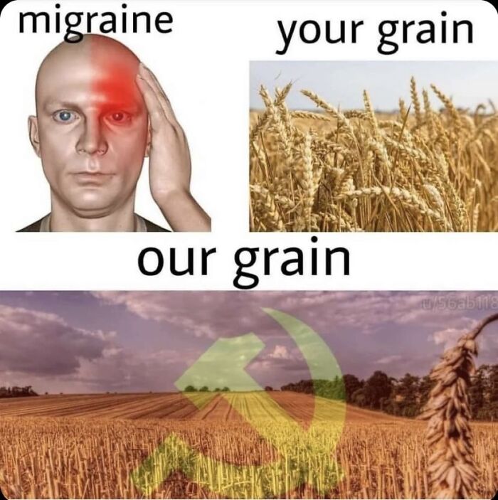 Wait, They Actually Made History Memes This Hilarious?!