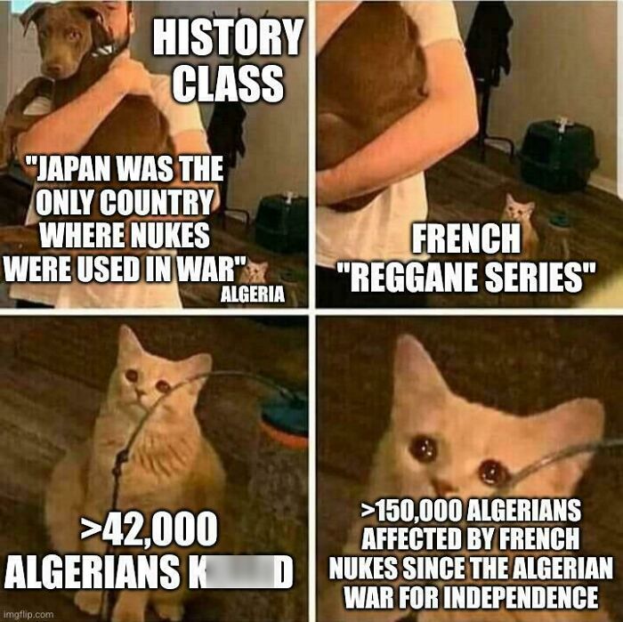 Wait, They Actually Made History Memes This Hilarious?!