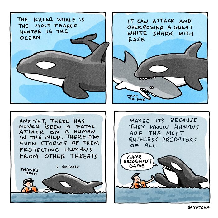 Wait, They Totally Nailed Everyday Life In These Comics! (31 Awesome Pics)