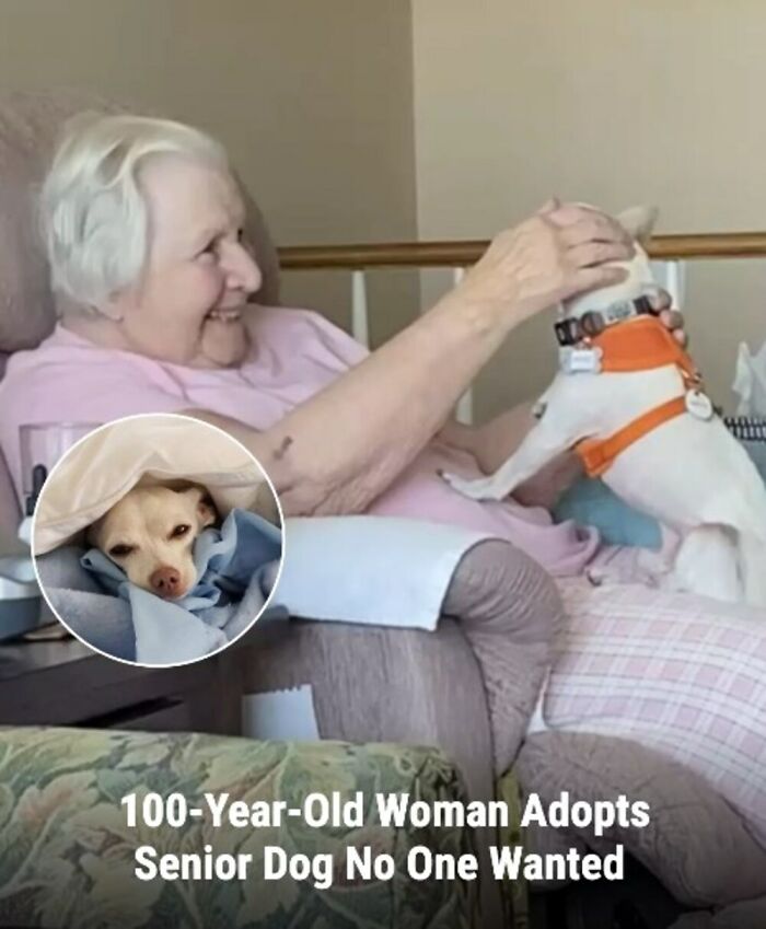 These 31 Rescue Animal Stories Will Hit Your Heartstrings and Brighten Your Day