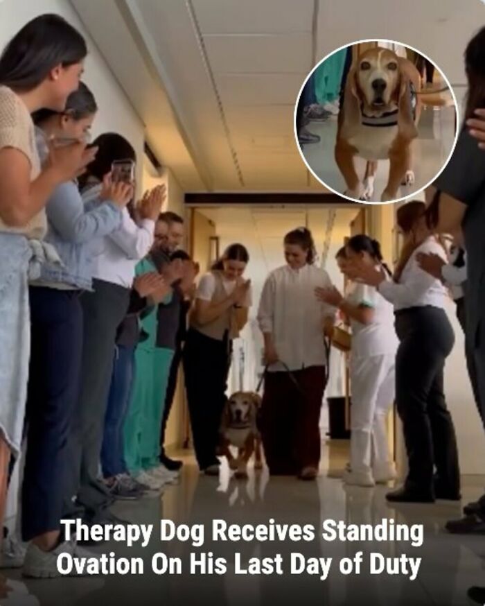 These 31 Rescue Animal Stories Will Hit Your Heartstrings and Brighten Your Day