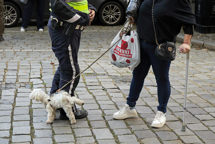 65 Street Photos That Nailed the Perfect Coincidence Moment