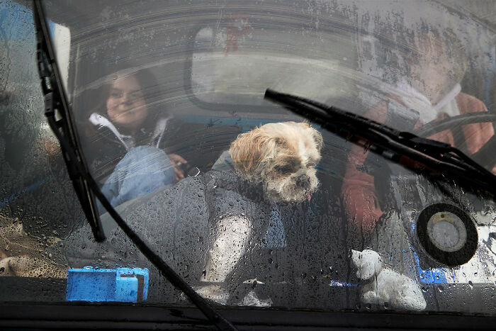 65 Street Photos That Nailed the Perfect Coincidence Moment