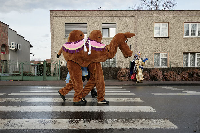 65 Street Photos That Nailed the Perfect Coincidence Moment