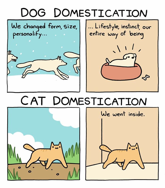 65 Hilarious Comics That Nail What It's Like Being an Introvert