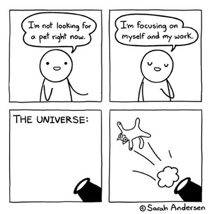 65 Hilarious Comics That Nail What It's Like Being an Introvert