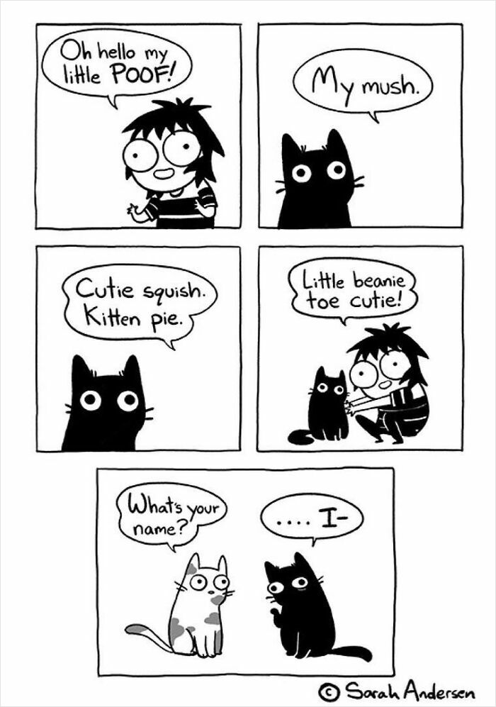 65 Hilarious Comics That Nail What It's Like Being an Introvert