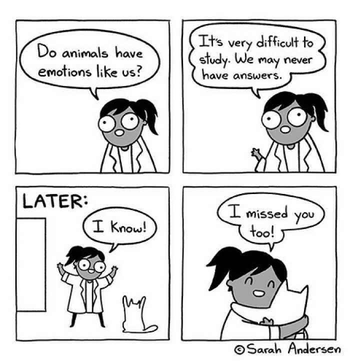 65 Hilarious Comics That Nail What It's Like Being an Introvert
