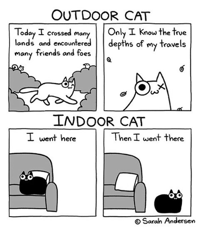 65 Hilarious Comics That Nail What It's Like Being an Introvert