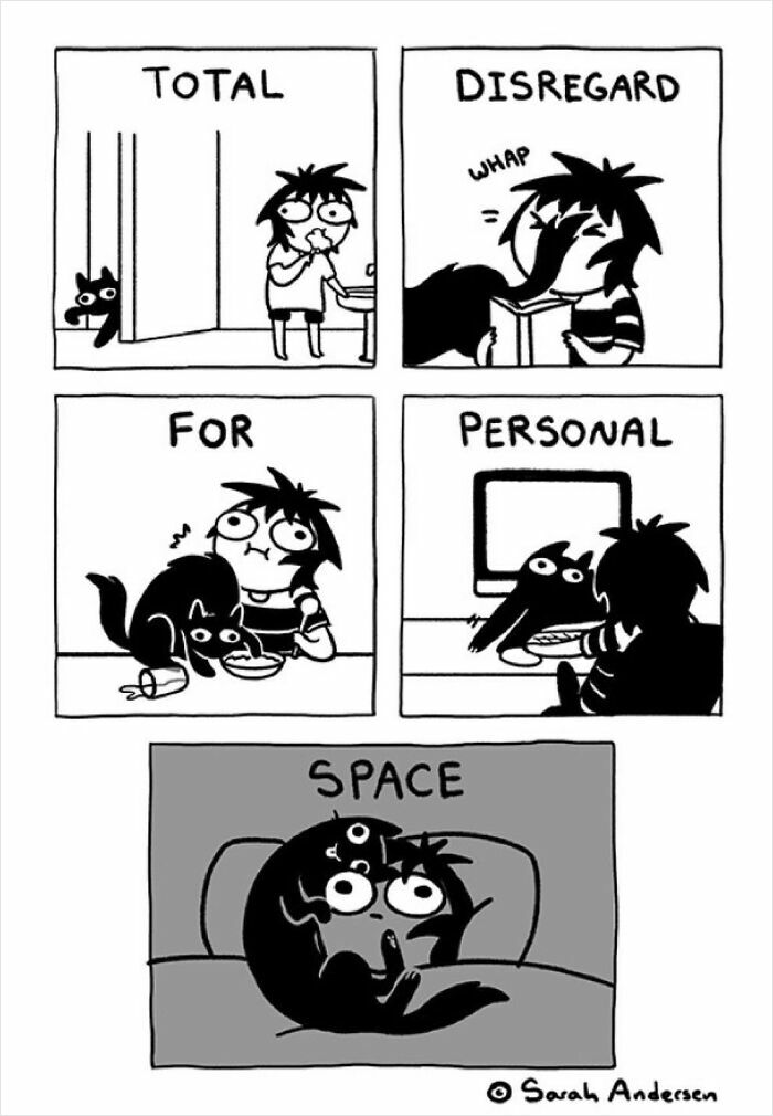 65 Hilarious Comics That Nail What It's Like Being an Introvert