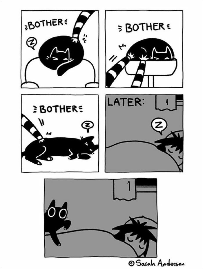 65 Hilarious Comics That Nail What It's Like Being an Introvert