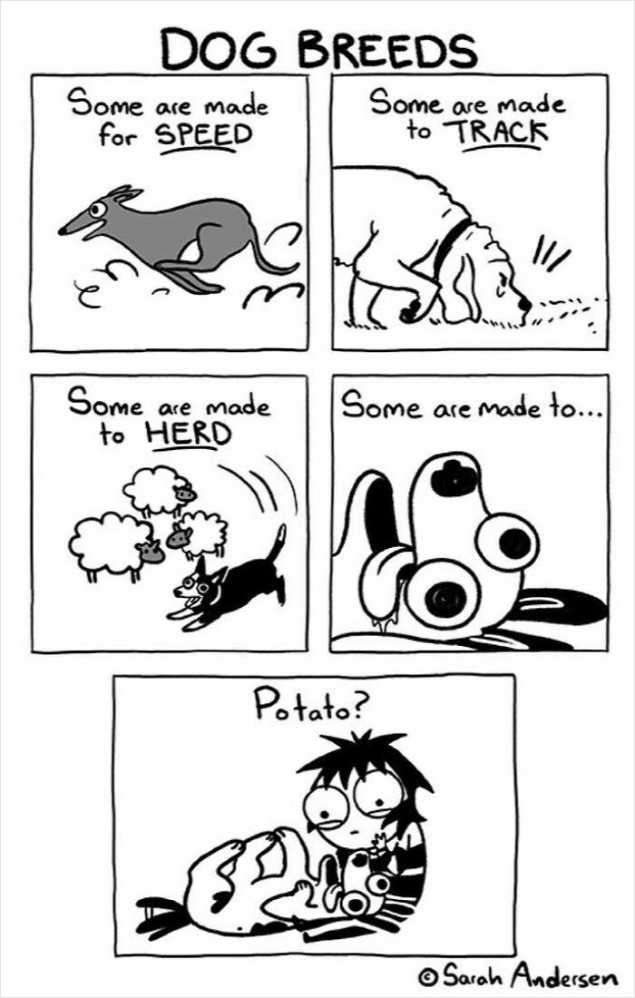 65 Hilarious Comics That Nail What It's Like Being an Introvert