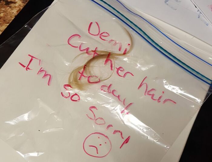 "Demi Cut her Hair Today. I’m So Sorry" – The Saddest (and Funniest) Teacher Note Ever