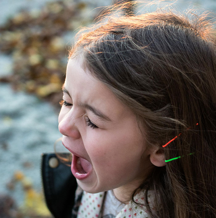 The No-Kids Club: Hilarious and Honest Thoughts From Folks Who Skipped Parenting