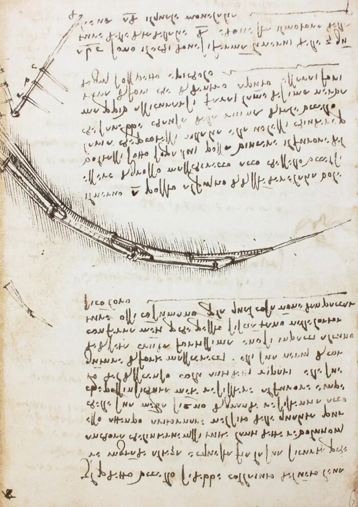 $30.8 Million, Leonardo da Vinci’s Science Notebook (The Brainiest Book)