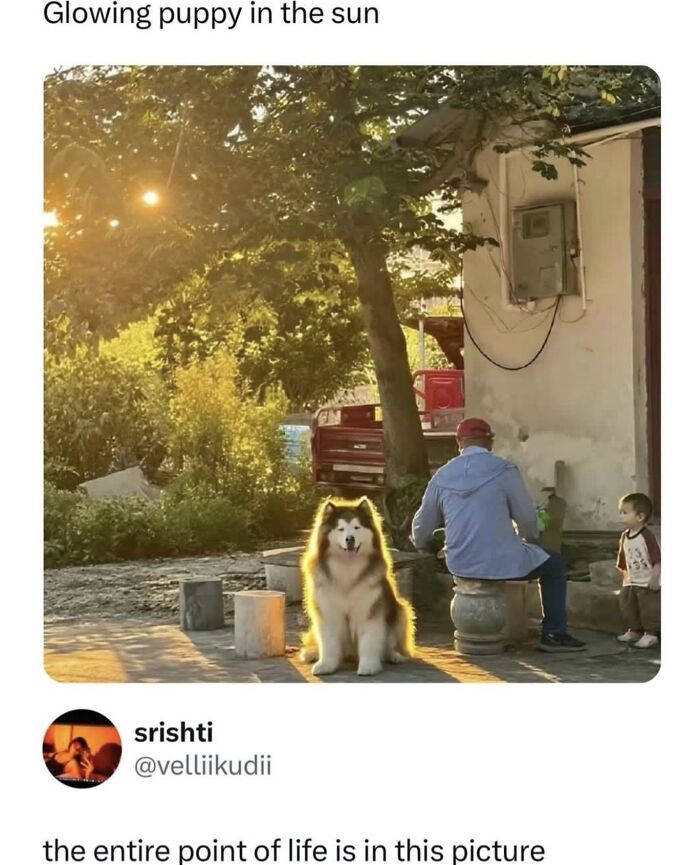 This Instagram Page With 6 Million Followers Is Basically Meme Heaven