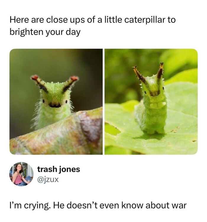 This Instagram Page With 6 Million Followers Is Basically Meme Heaven
