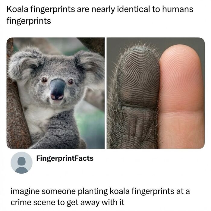 This Instagram Page With 6 Million Followers Is Basically Meme Heaven