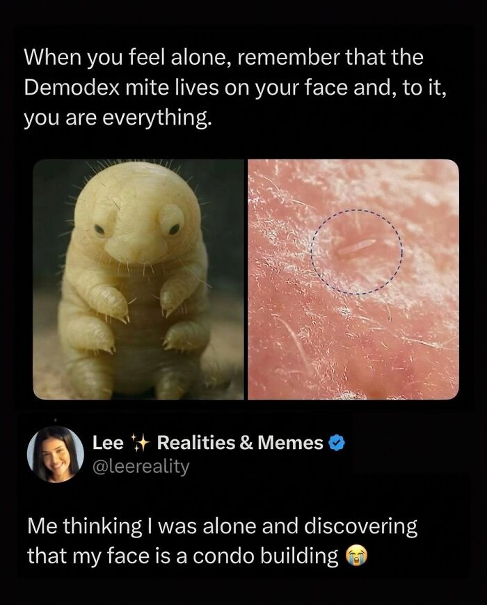 This Instagram Page With 6 Million Followers Is Basically Meme Heaven