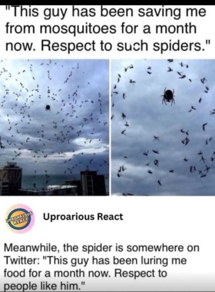 Mutual Respect Is The Way To Go