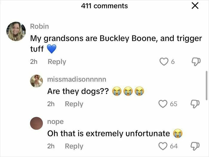 Wait, Are These Even Dogs? Lol