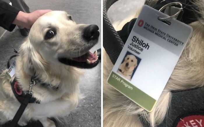 Hi There! The Job Is Just Saying Hi!