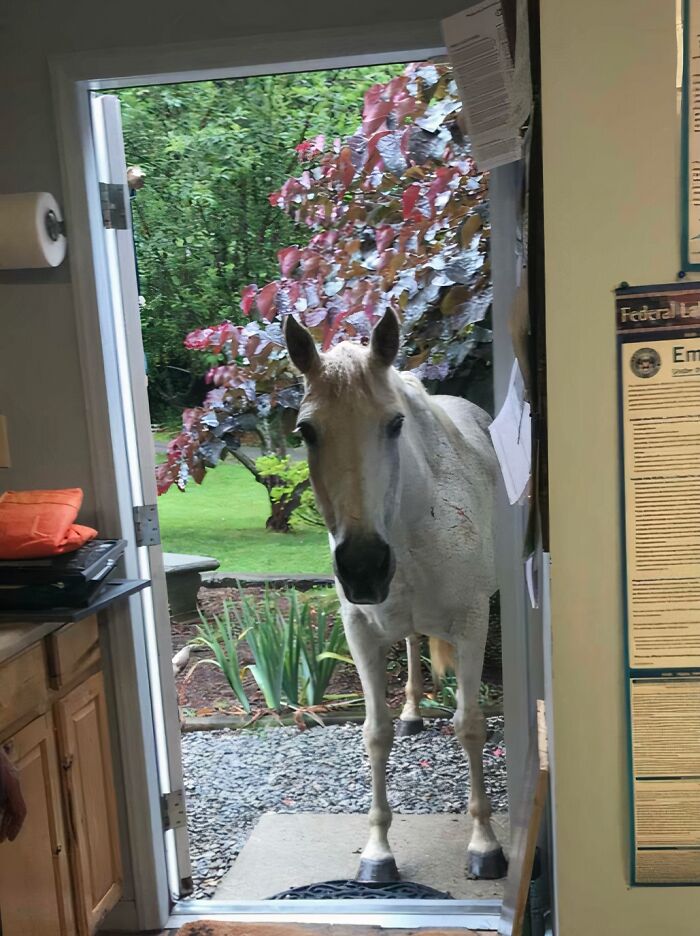 When Your Mom Works At The Doctor’s Office And Sends You This