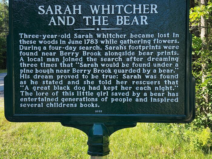 Sarah Witcher and the Bear—A Story That’s Equal Parts Spooky and Cool
