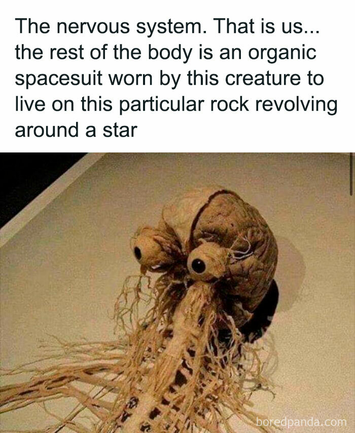 Wait, I’ve Never Thought of It That Way!