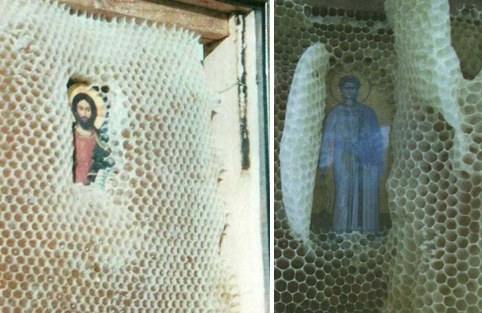 Greek Beehive Plays Favorites—Avoids Faces on Lucky Images