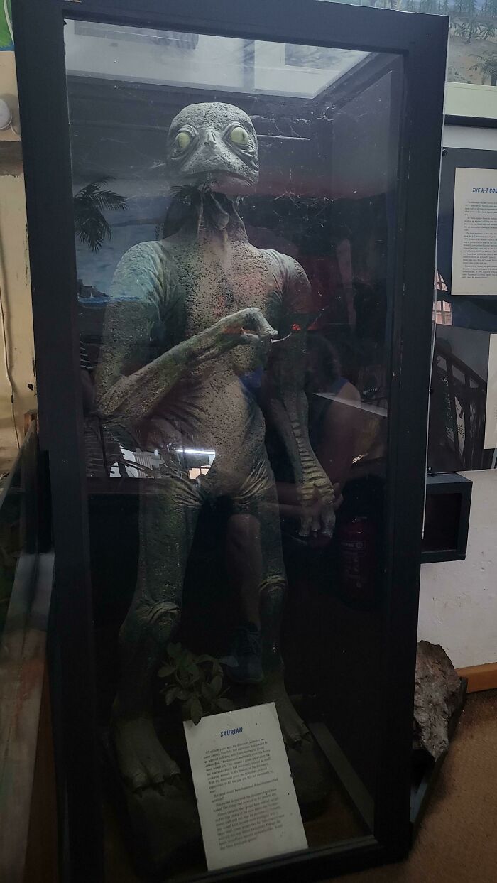 Meet 'The Saurian'—1980s Vision of What Dinosaurs Might Be Today (No Extinction, No Problem)
