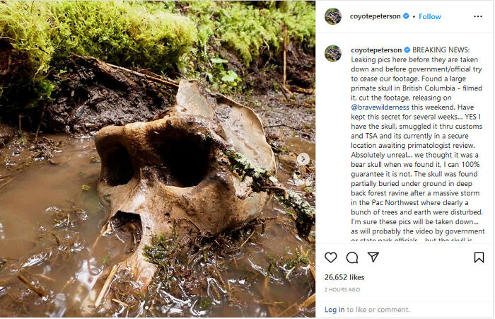 Bigfoot Fans, Coyote Peterson Says He Found a Real Skull