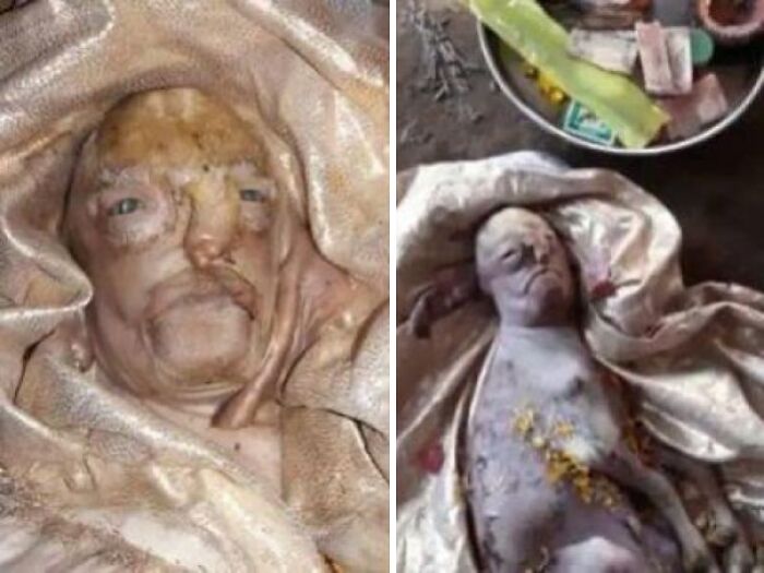 Baby Goat Born with a Human-Like Face—Worshipped Like a God in India
