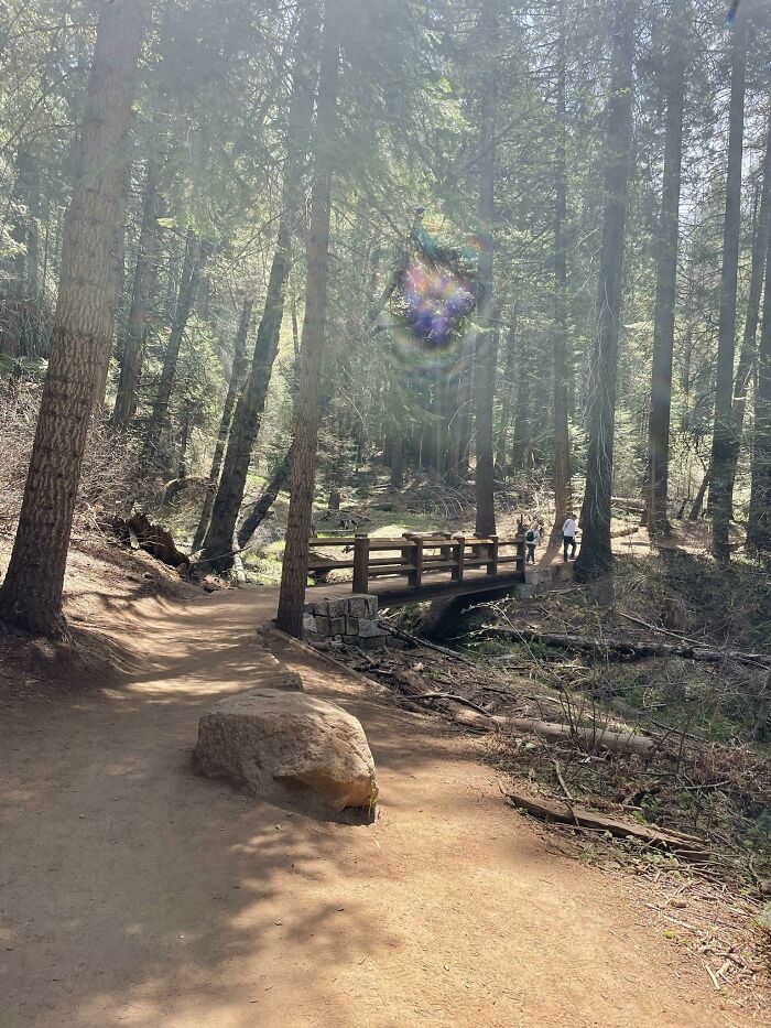 Captured This Pic at Yosemite—Is it a Portal? Or Just a Fancy Light Trick?