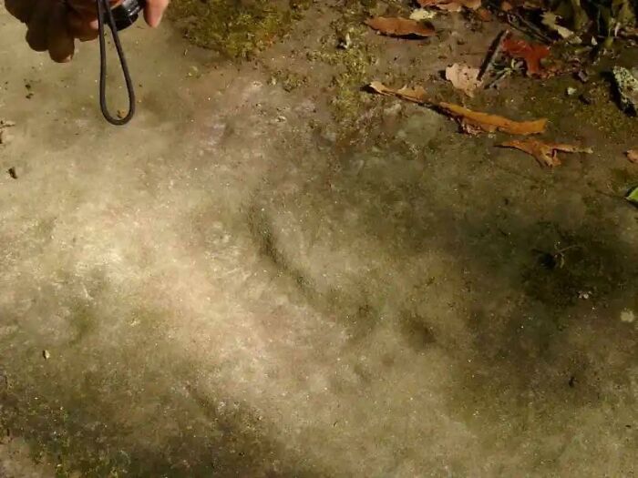 Berea Footprints: Human Prints in 250 Million-Year-Old Rock—Time Travel Footsteps?