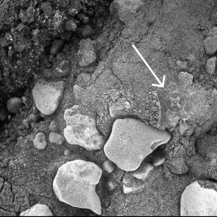 Just Another Totally Normal Mars Anomaly (Because Mars Hates Boring)
