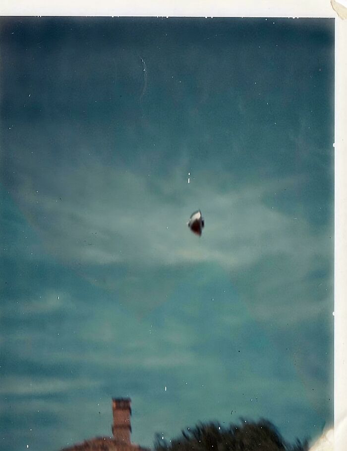 1966 Westall School UFO Sighting: Hundreds Saw It, This Is the Only Photo