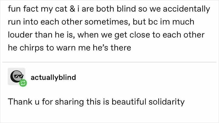 Need a Smile? These 89 Wholesome Memes Will Totally Boost Your Mood