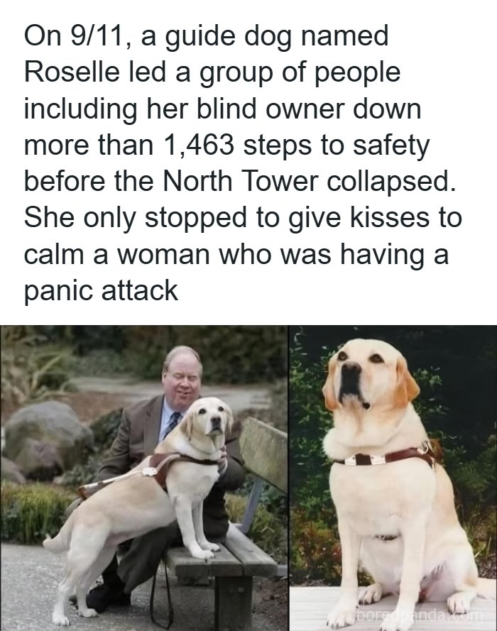 Need a Smile? These 89 Wholesome Memes Will Totally Boost Your Mood