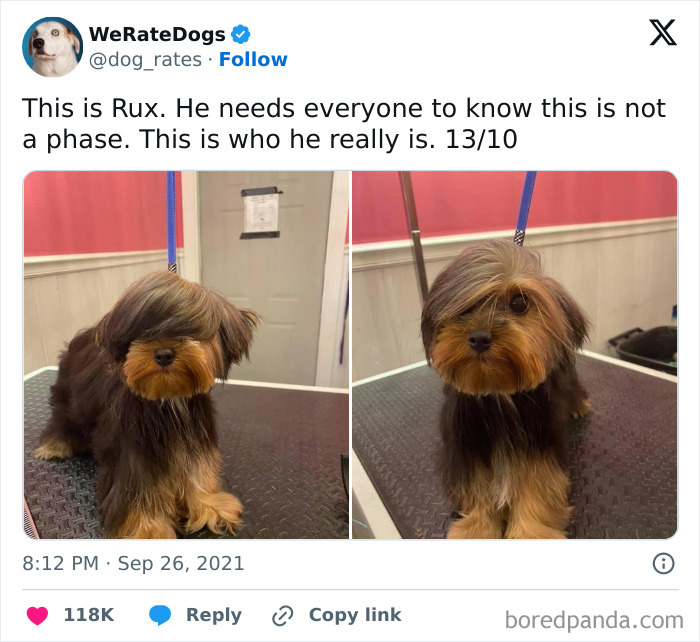 Need a Smile? These 89 Wholesome Memes Will Totally Boost Your Mood
