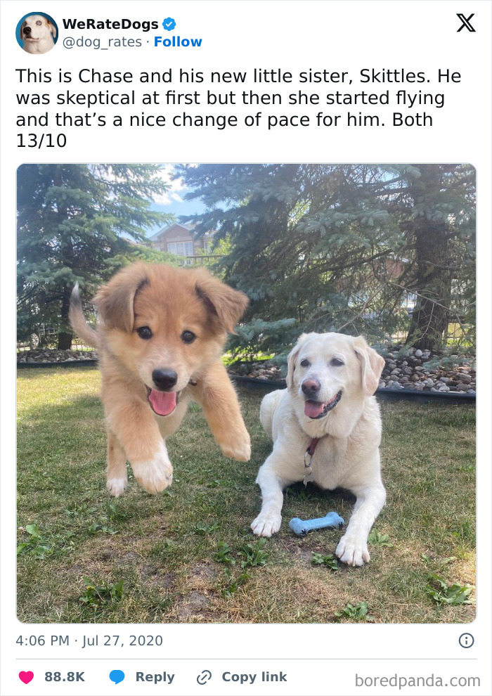 Need a Smile? These 89 Wholesome Memes Will Totally Boost Your Mood