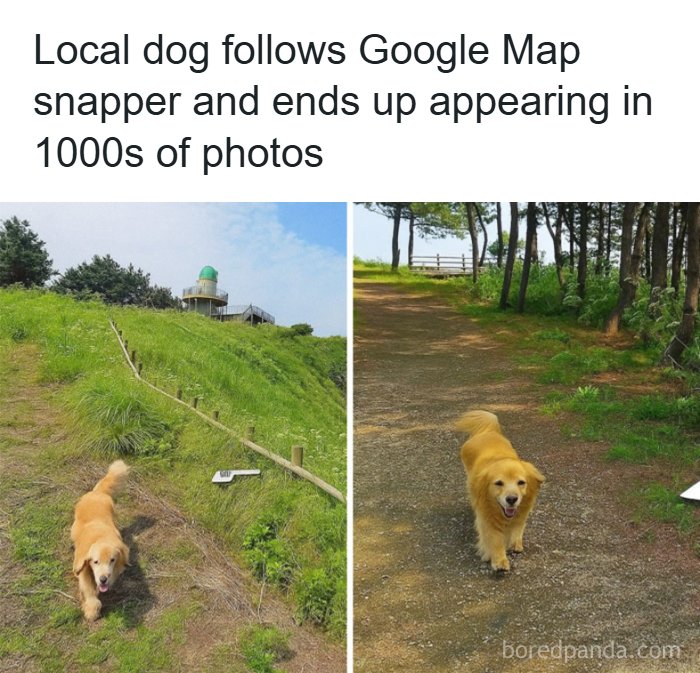 Need a Smile? These 89 Wholesome Memes Will Totally Boost Your Mood