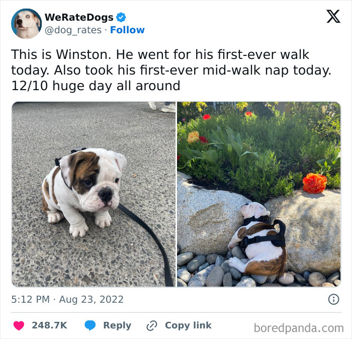 Need a Smile? These 89 Wholesome Memes Will Totally Boost Your Mood