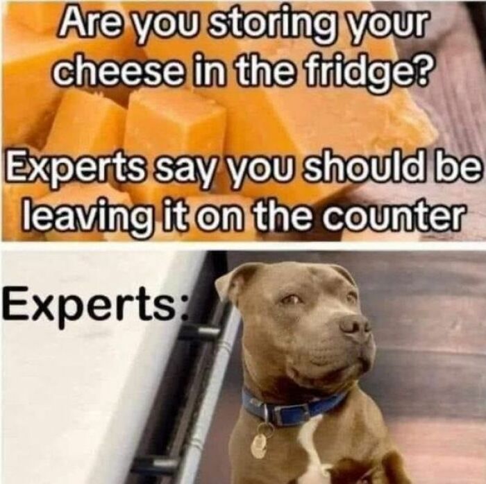 Need a Smile? These 89 Wholesome Memes Will Totally Boost Your Mood
